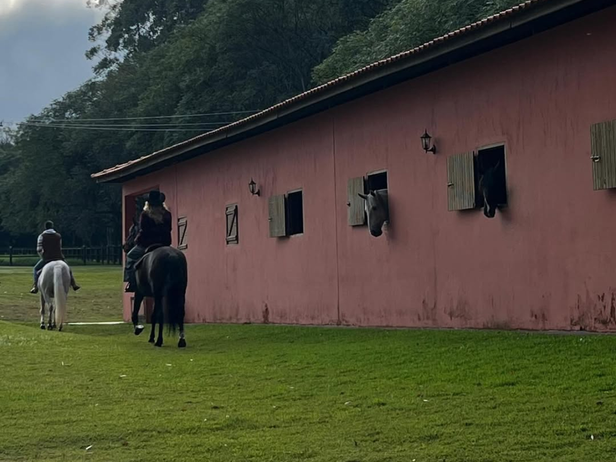 João Silva e Isabella Kherlakian - Foto: Reprodução/Instagram