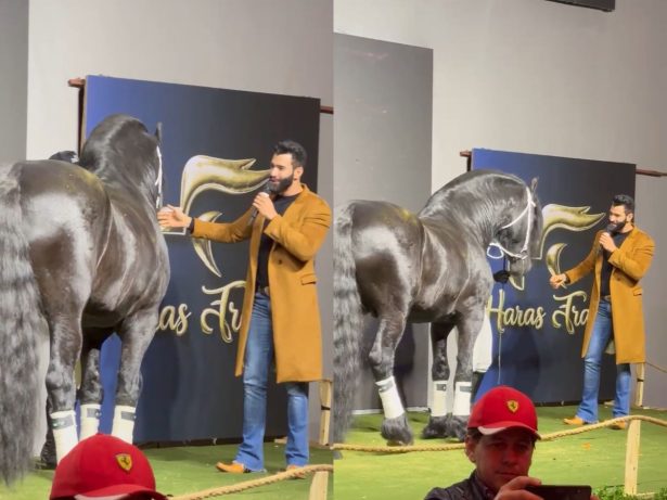 Gusttavo Lima leiloa sociedade de cavalo que brilhou em série da Netflix. Saiba quanto!