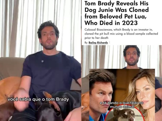 Tom Brady clona sua cadela e divide opiniões sobre clonagem de pets