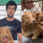 Julinho Casares resgata cachorro vítima de maus-tratos após dois anos sem banho