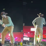 Nattan pega celular de fã para tirar selfie em show, mas esquece de devolvê-lo
