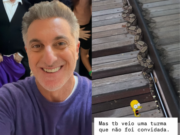 Luciano Huck se assusta ao encontrar cobra em mansão no Rio: “Não foi convidada”