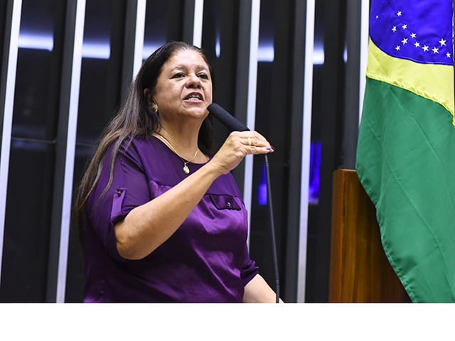 Laura Carneiro - Imagem: Câmara dos Deputados
