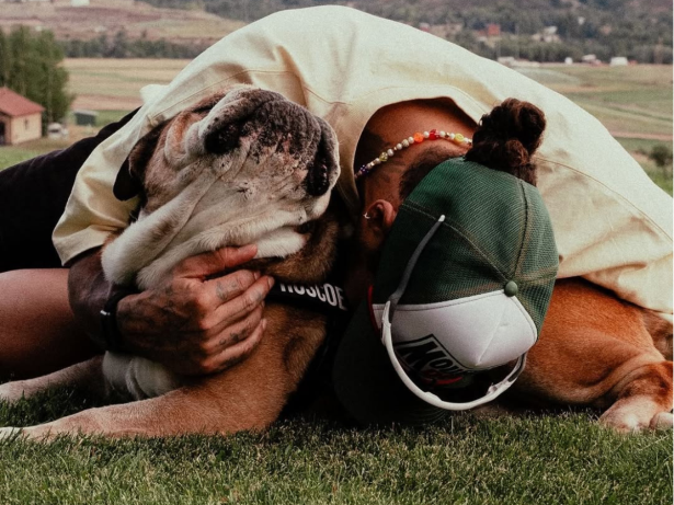 Morre Roscoe, o cachorro de Lewis Hamilton que conquistou fãs ao redor do mundo