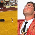 Toureiro de 22 anos morre após ser chifrado por touro em arena de Lisboa