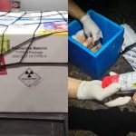 Fim do mistério: material radioativo roubado é achado em terreno em SP