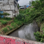 Motociclista arremessado de ponte saiu do rio andando e ferido, dizem moradores