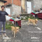 Cachorro idoso com tumor na garganta é resgatado após ser abandonado em situação extrema