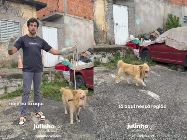 Cachorro idoso com tumor na garganta é resgatado após ser abandonado em situação extrema