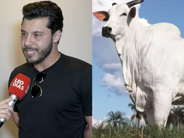 Murilo Huff explica por que investiu em vaca milionária e surpreende o público