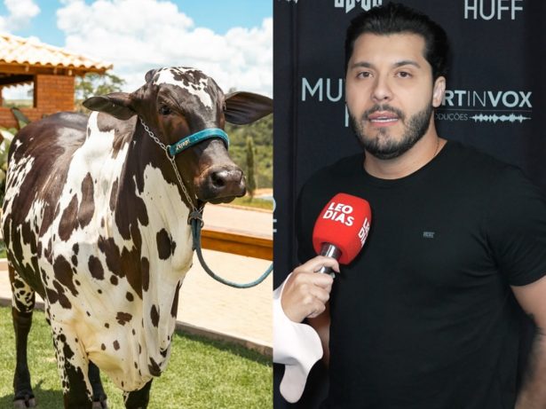 Murilo Huff detalha investimento de R$ 2 milhões em gado durante o ExpoMix Brasil 2025