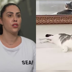 Caso Henry: defesa quer autorização para que gato adotado acompanhe Monique na prisão