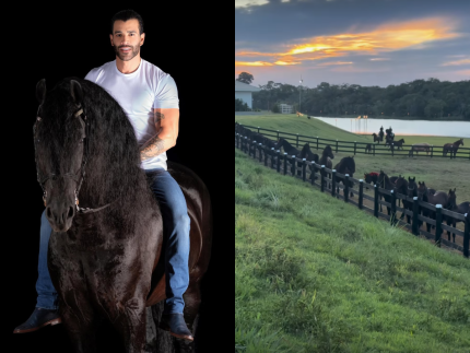 Gusttavo Lima vai a leilão e se diverte: “Saí de casa para tomar cachaça e comprei dois cavalos”
