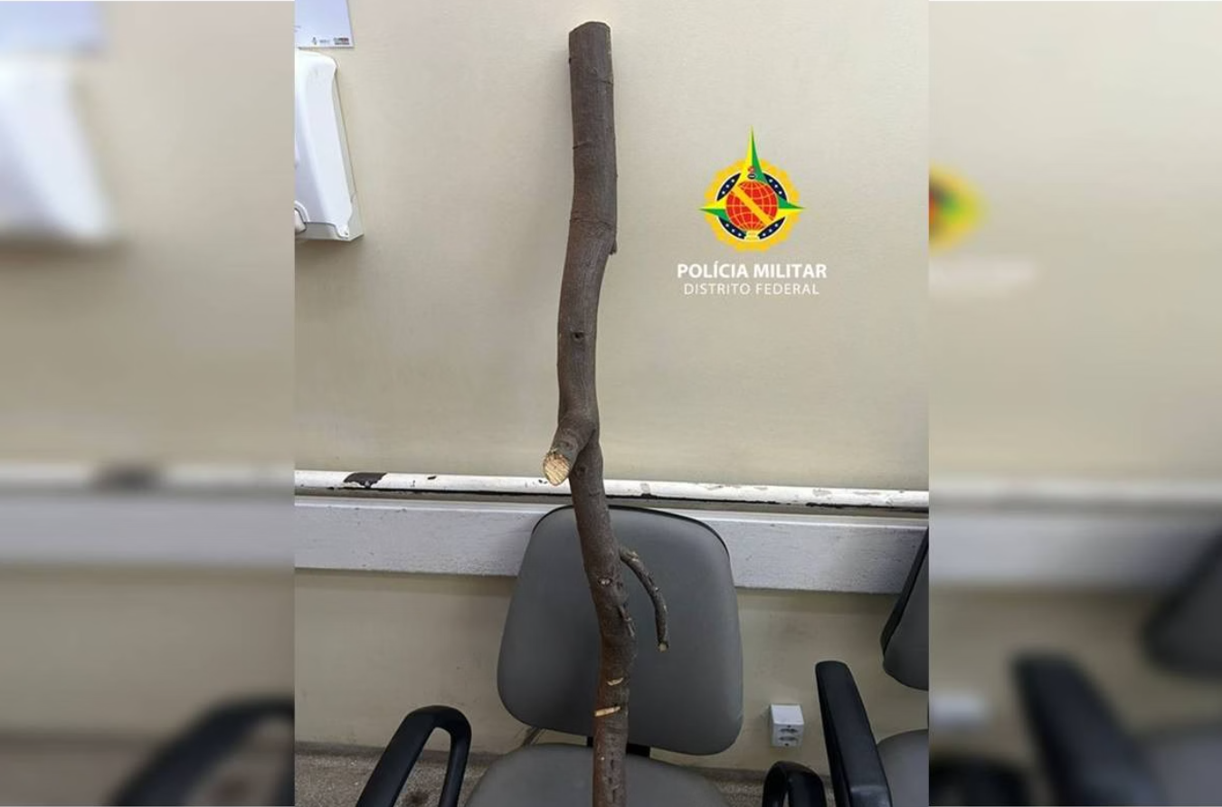 Divulgação/PMDF