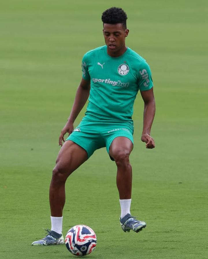 Palmeiras no Mundial de Clubes 3