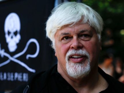 Capitão Paul Watson (Foto: Markus Schreiber/AP)