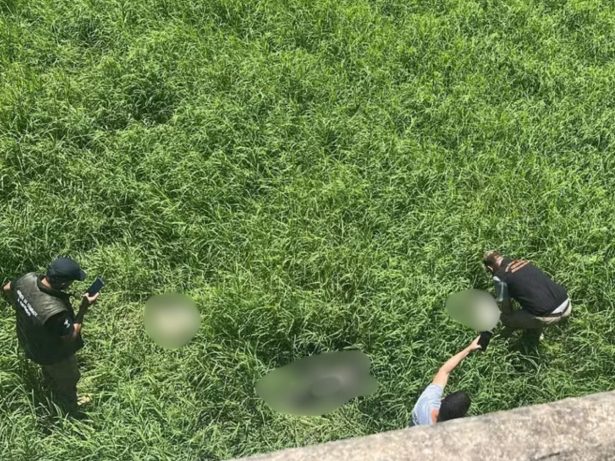 Crueldade! Após caso Orelha, polícia descobre “descarte” de cães e enforcamento no RS