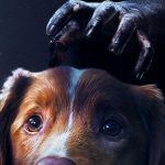 Cinema em casa! Confira os lançamentos de filmes para entrar no clima do Halloween