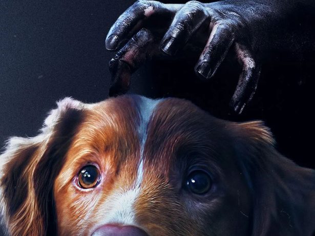 Cinema em casa! Confira os lançamentos de filmes para entrar no clima do Halloween