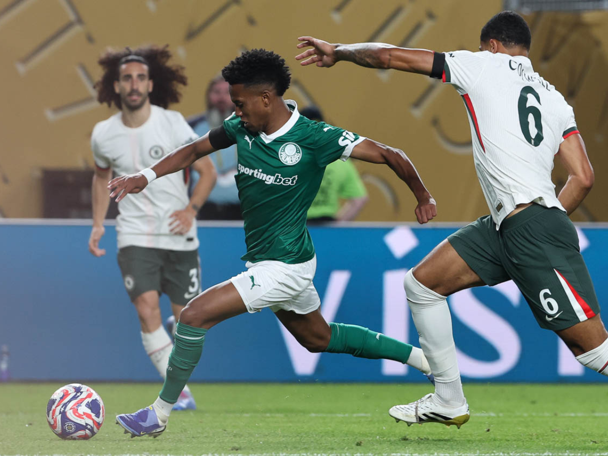 Cesar Greco/Palmeiras