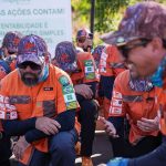 Abelhas se revoltam e atacam grupo Legendários; retiro foi interrompido com feridos
