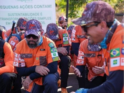 Abelhas se revoltam e atacam grupo Legendários; retiro foi interrompido com feridos
