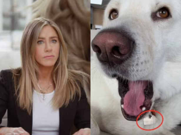 Opa! Jennifer Aniston compartilha número de celular em rede social sem querer