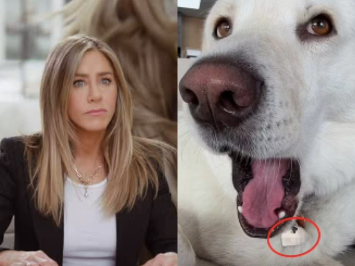 Reprodução Instagram/ montagem 