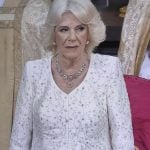 Camilla se recupera de infecção pulmonar e muda visita do Catar ao Reino Unido