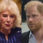 Trégua Real? Rainha Camilla deixa mágoas de lado para tentar se aproximar de Harry