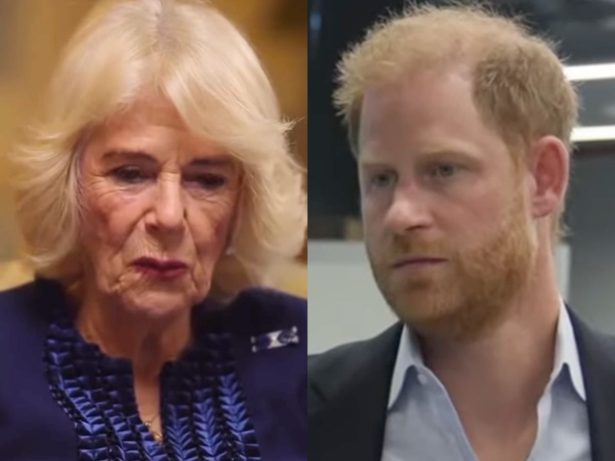 Trégua Real? Rainha Camilla deixa mágoas de lado para tentar se aproximar de Harry