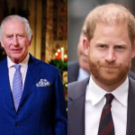 Rei Charles III e Príncipe Harry