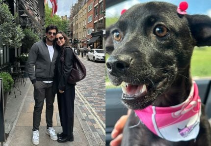 Julinho Casares surpreende Lara Silva com mais um cachorro; casal tem mais de 40