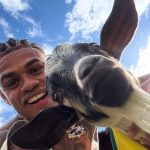 MC Cabelinho surpreende seguidores ao adotar animal inusitado