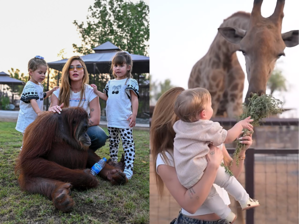 Passeio em família: Virginia e os três filhos interagem com animais em zoológico de Dubai
