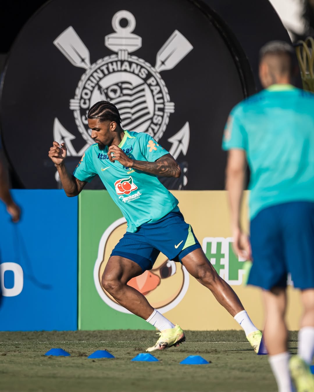 Alexsandro, zagueiro do Lille, convocado pela primeira vez para a Seleção Brasileira / Reprodução