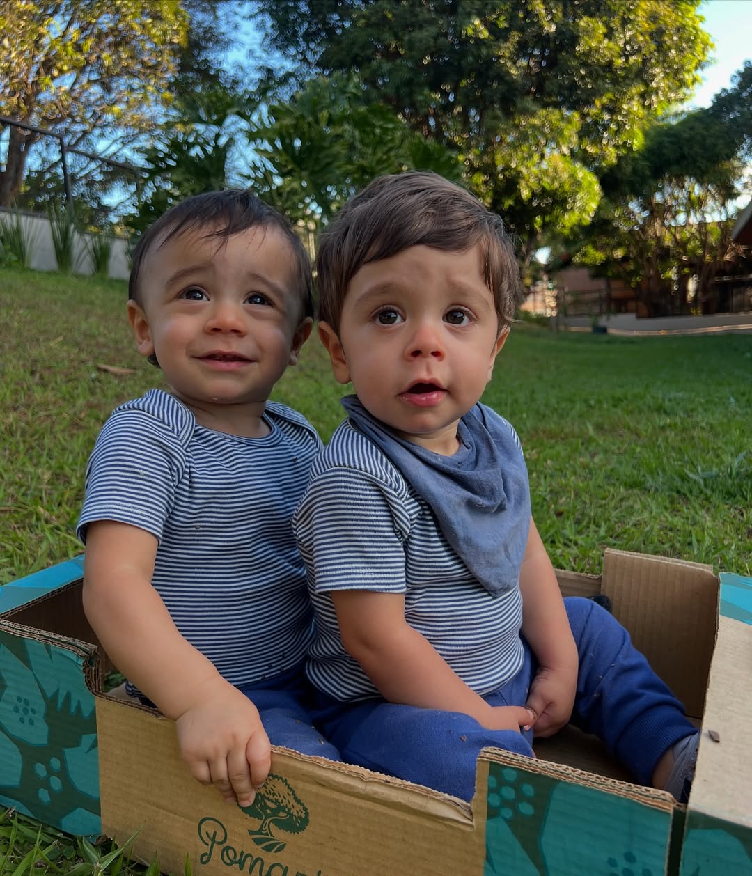 Reprodução/@claramaia_