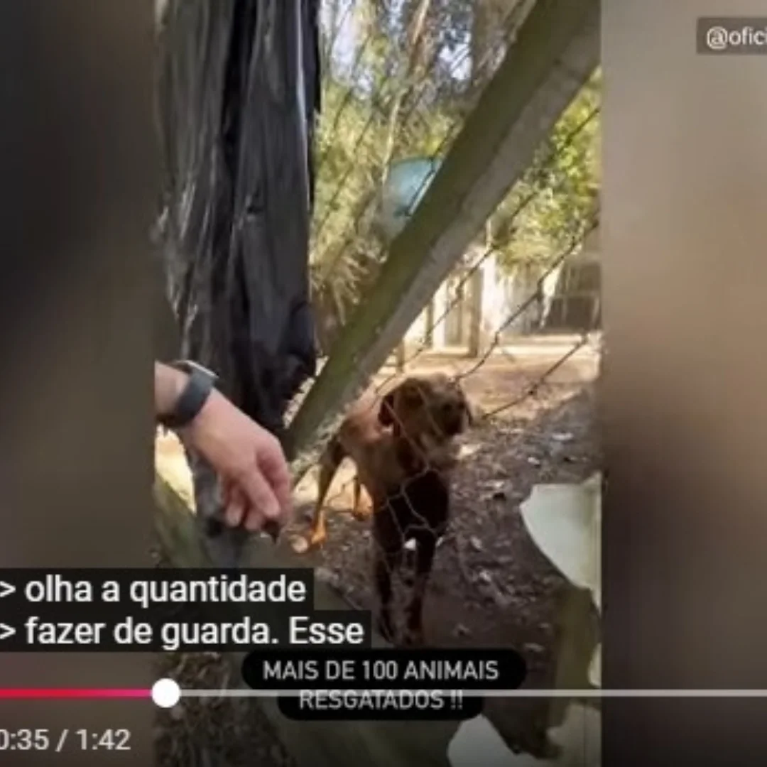 Reprodução/Redes sociais Reprodução/Redes sociais