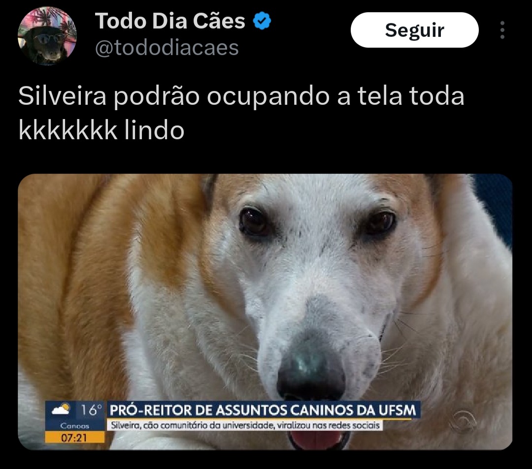 Reprodução/X