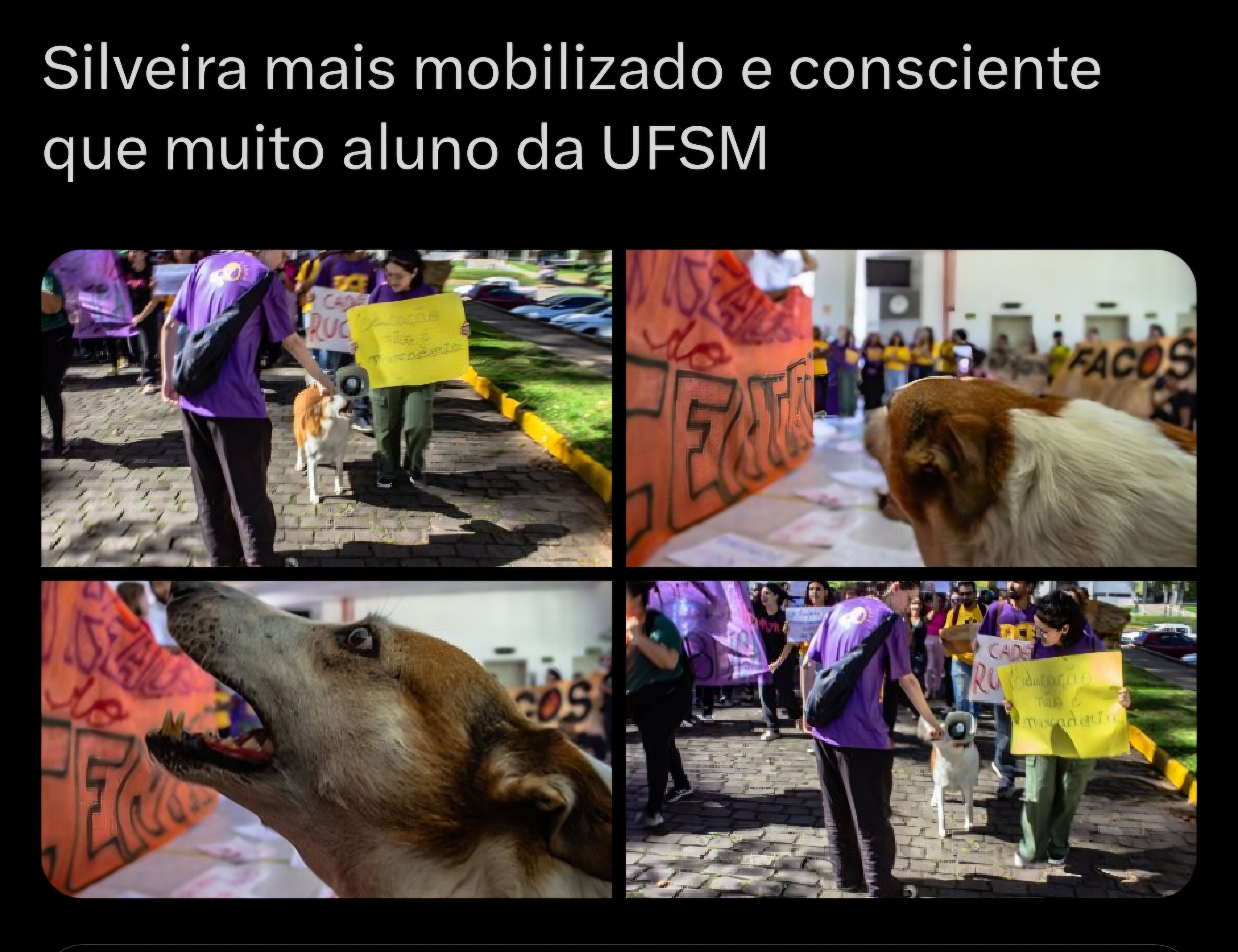Reprodução/X