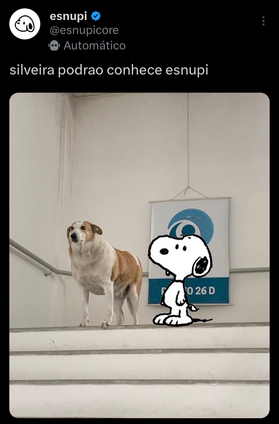 Reprodução/X
