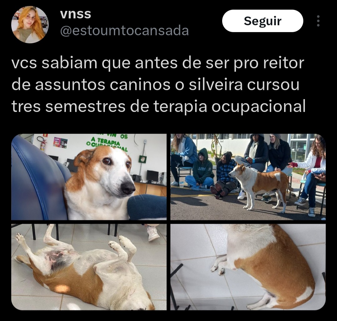 Reprodução/X