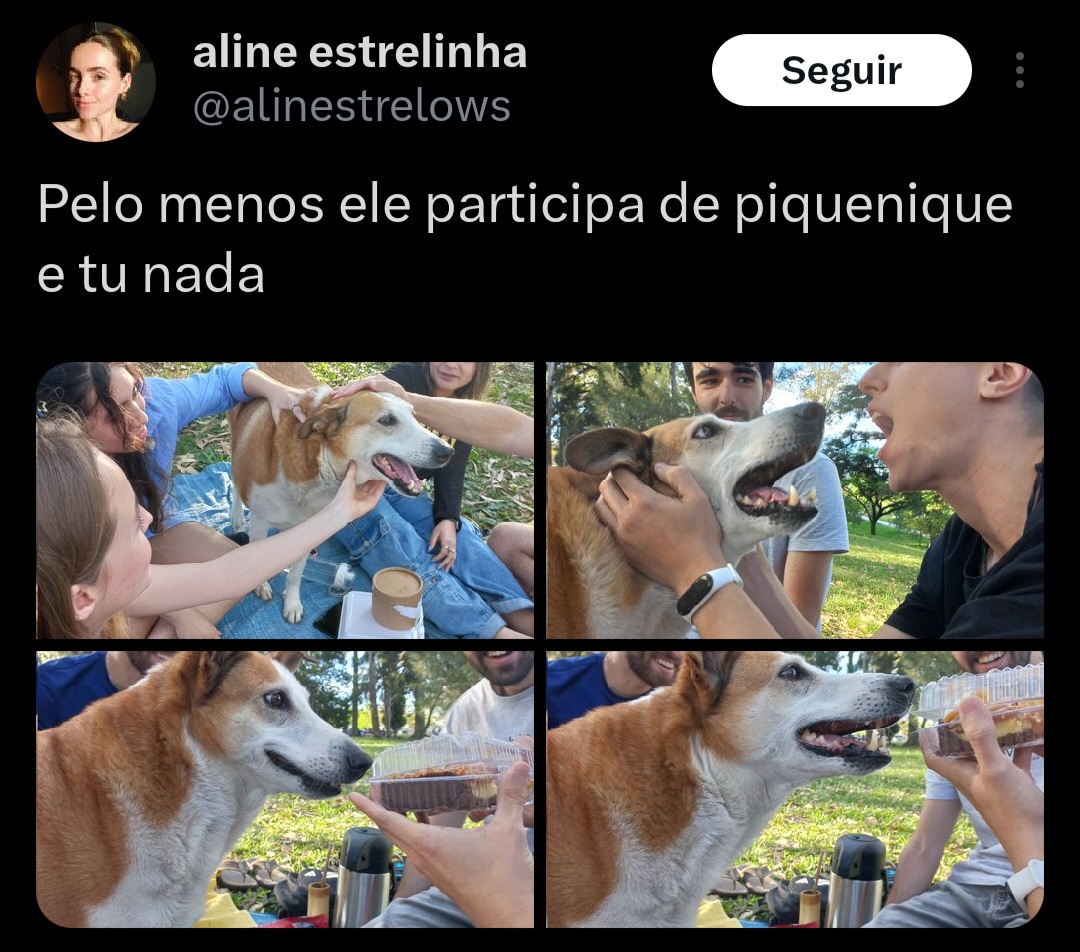 Reprodução/X