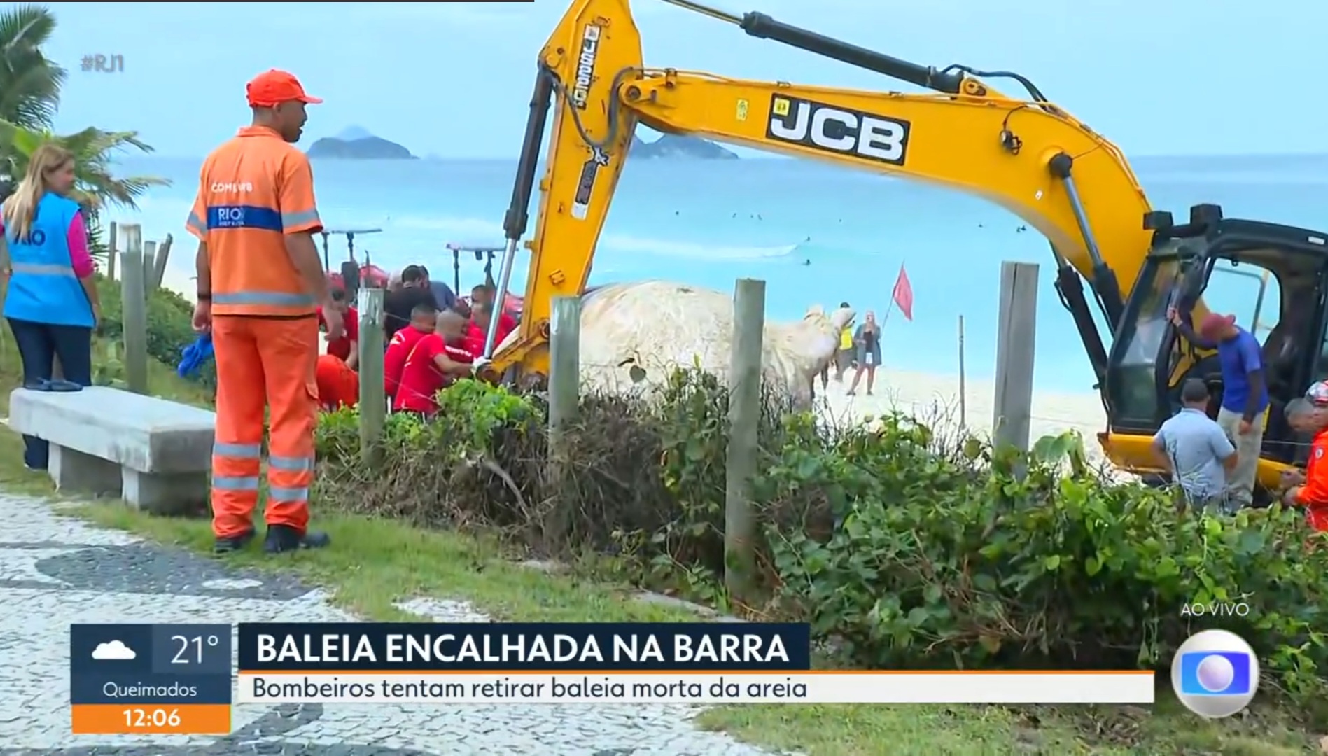 Reprodução/Globo