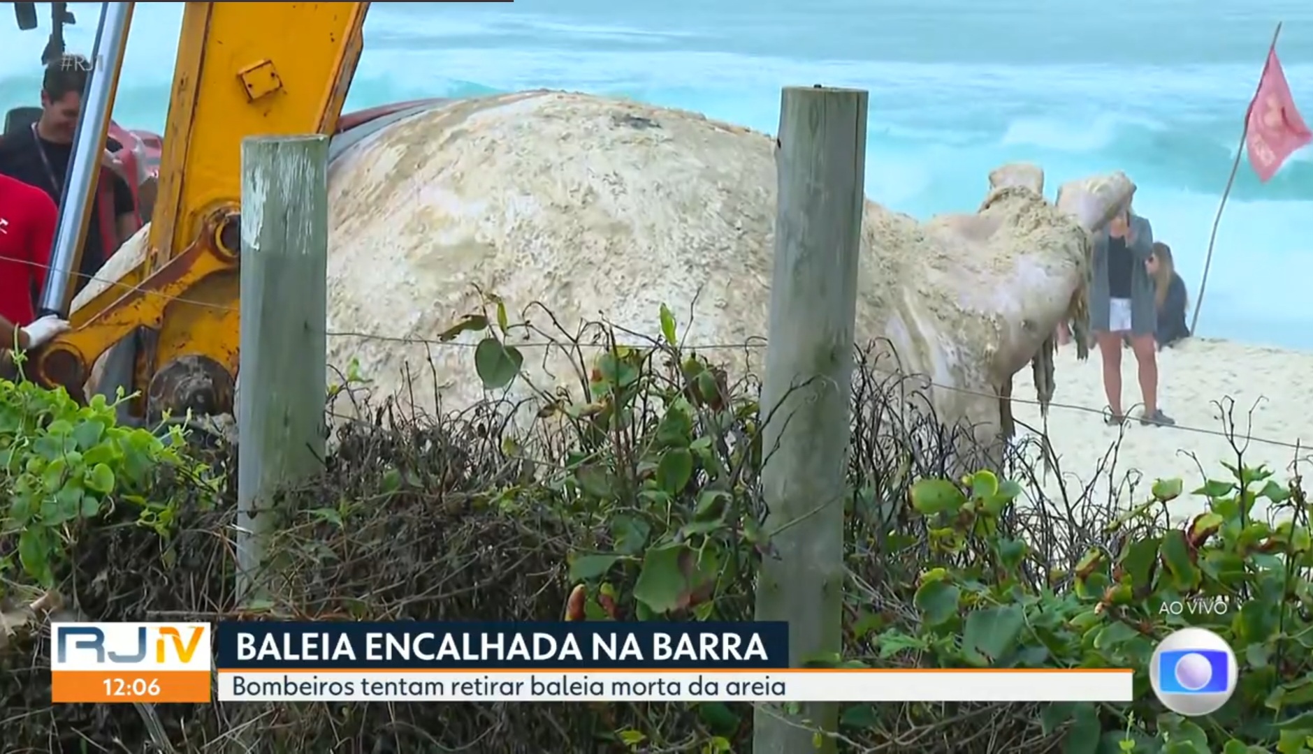 Reprodução/Globo