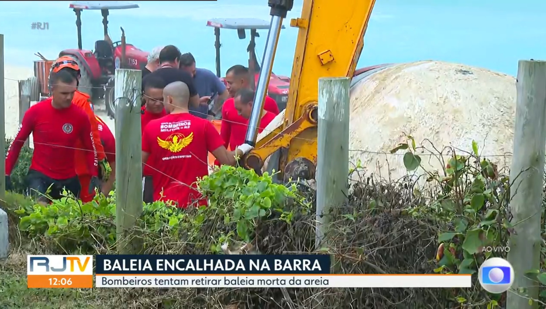 Reprodução/Globo