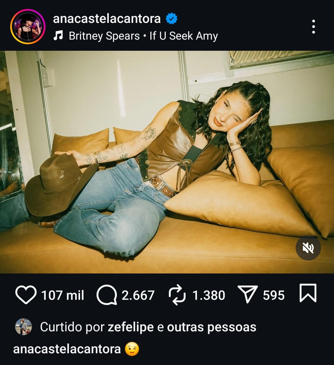 Reprodução/@anacastelacantora Reprodução/@anacastelacantora