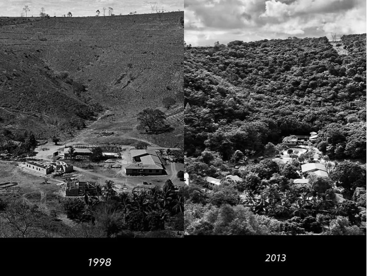 Reprodução/Instituto Terra