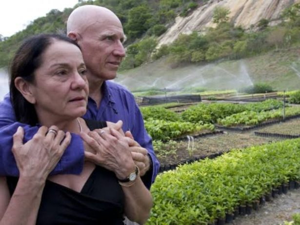 Fotógrafo Sebastião Salgado e esposa já reflorestaram 2,5 milhões de árvores