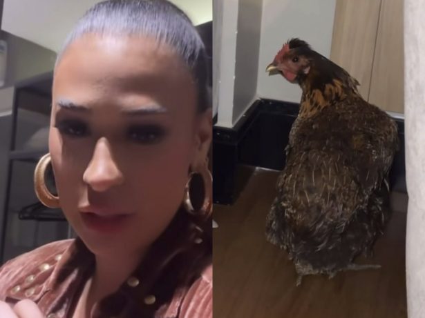Após ganhar e adotar galinha em show, Simone Mendes leva a ave para o hotel